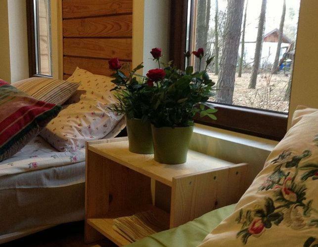 Przystanek Zofiowka Hotel Tuszyn Kültér fotó